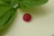 Ruby Purplish Red - Cushion - 1 ct - COR authenticated
