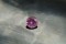 Appraised Premium: Vivid Pastel Pink Sapphire - Round - 1.206 ct - IGL certified