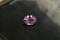 Vivid Pastel Violet Sapphire - Oval - 1.15 ct