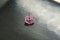 Appraised Premium: Vivid Pastel Pink Sapphire - Oval - 1.239 ct - IGL certified