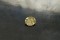 Premium: Vivid Pastel Yellow Sapphire - Oval - 0.95 ct