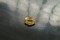 Premium: Vivid Intense Yellow Sapphire - Oval - 1.20 ct