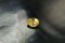 Premium: Vivid Intense Yellow Sapphire - Oval - 1.20 ct