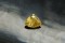 Premium: Vivid Intense Yellow Sapphire - Triangular - 2.40 ct - AGL certified