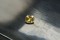 Premium: Vivid Intense Yellow Sapphire - Rectangular - 0.80 ct