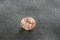 Premium: Pink-Orange Padparadscha-Like Sapphire - Oval - 1.387 ct - IGL certified