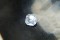 Premium: Vivid Crisp White Sapphire - Octagon - 1.682 ct - AGL certified