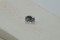 Premium: Vivid Crisp White Sapphire - Rectangular - 1.20 ct