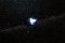 Vivid Royal Blue Sapphire - Oval - 0.68 ct - GIA certified