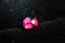 Rubellite - Rectangular - 2.50 ct - COR authenticated