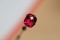 Rubellite - Rectangular - 2.50 ct - COR authenticated