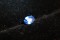 Vivid Cornflower Blue Sapphire - Oval - 0.62 ct - GIA certified