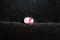 Genuine Vivid Pink Sapphire - Oval - 0.74 ct - GIA certified