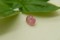 Rare: Neon Pink Mahenge Spinel - Oval - 1.05 ct - COR authenticated