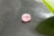 Rare: Neon Pink Mahenge Spinel - Oval - 1.05 ct - COR authenticated