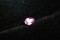 Purplish Pink Sapphire - Oval - 0.65 ct - GIA certified