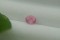 Rare: Neon Pink Mahenge Spinel - Oval - 1 ct - COR authenticated
