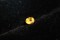 Genuine Yellow Sapphire - Oval - 0.54 ct - GIA certified