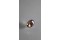 Multi-Color Yellow Sapphire - Oval - 0.56 ct - GIA certified