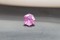 Vivid Pink Sapphire - Octagon - 1.50 ct - COR authenticated