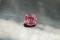 Appraised Premium: Vivid Pastel Orange-Pink Spine - Octagon - 2.104 ct - AGL certified