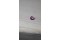 Sapphire - Oval - 0.25 ct - COR authenticated