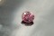Premium: Vivid Orange-Pink Rhodolite Garnet - Oval - 2.684 ct - IGL certified