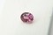 Premium: Vivid Orange-Pink Rhodolite Garnet - Oval - 2.684 ct - IGL certified