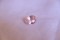 Padparadscha Sapphire - Rectangular - 1.31 ct - CSL certified