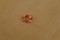 Padparadscha Sapphire - Rectangular - 1.14 ct - CSL certified