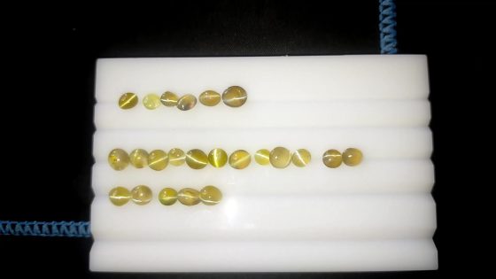 23 Unheated Chrysoberyl Cat's Eye Lot - Cabochon - 11.80 ct - COR authenticated
